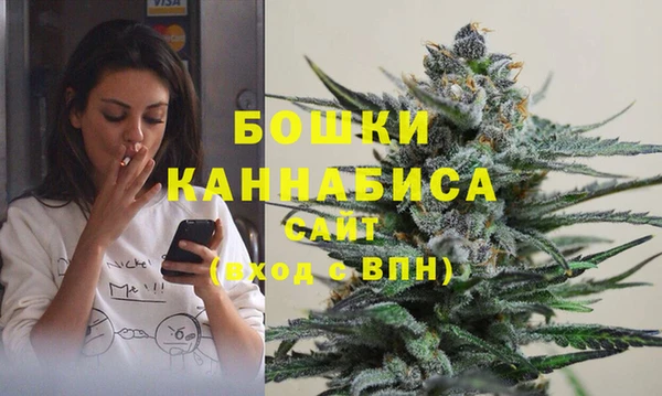 PSILOCYBIN Белокуриха